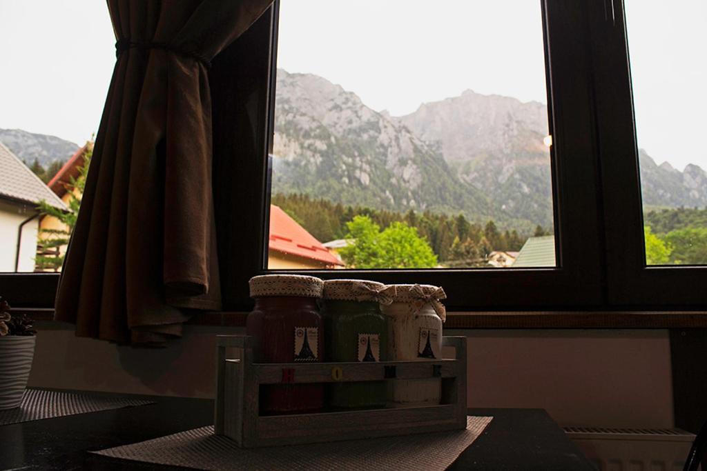 Apartament Mountain Life Busteni Luaran gambar