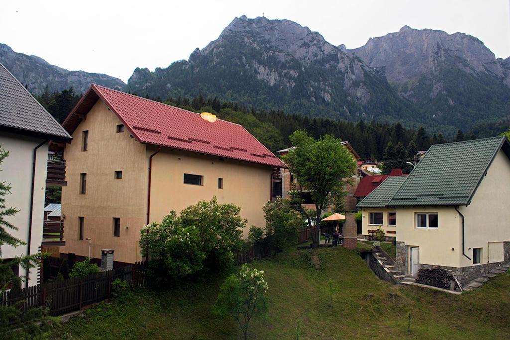 Apartament Mountain Life Busteni Luaran gambar
