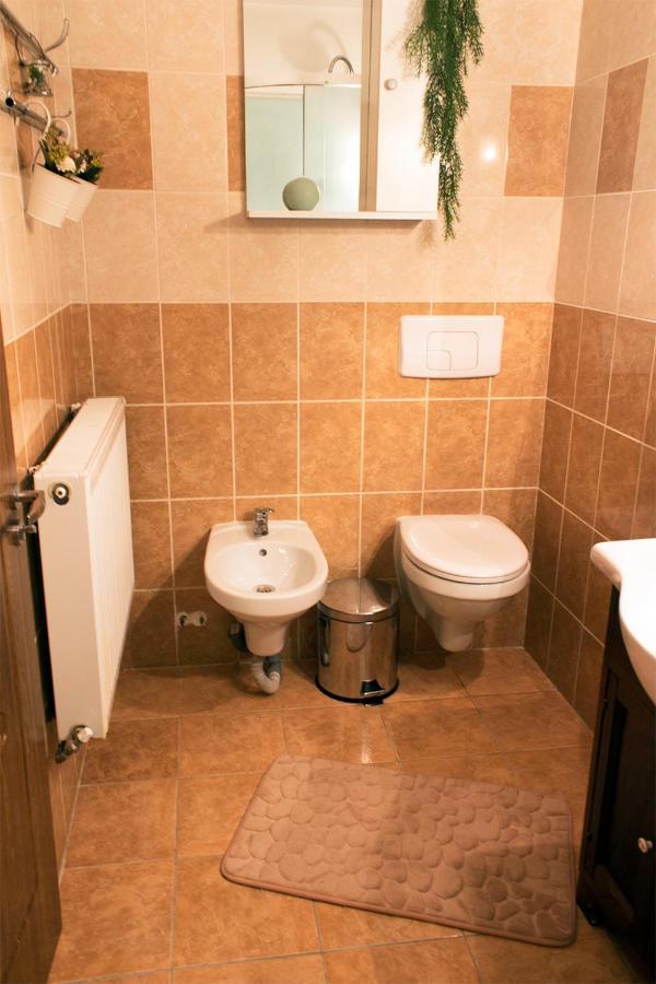 Apartament Mountain Life Busteni Luaran gambar
